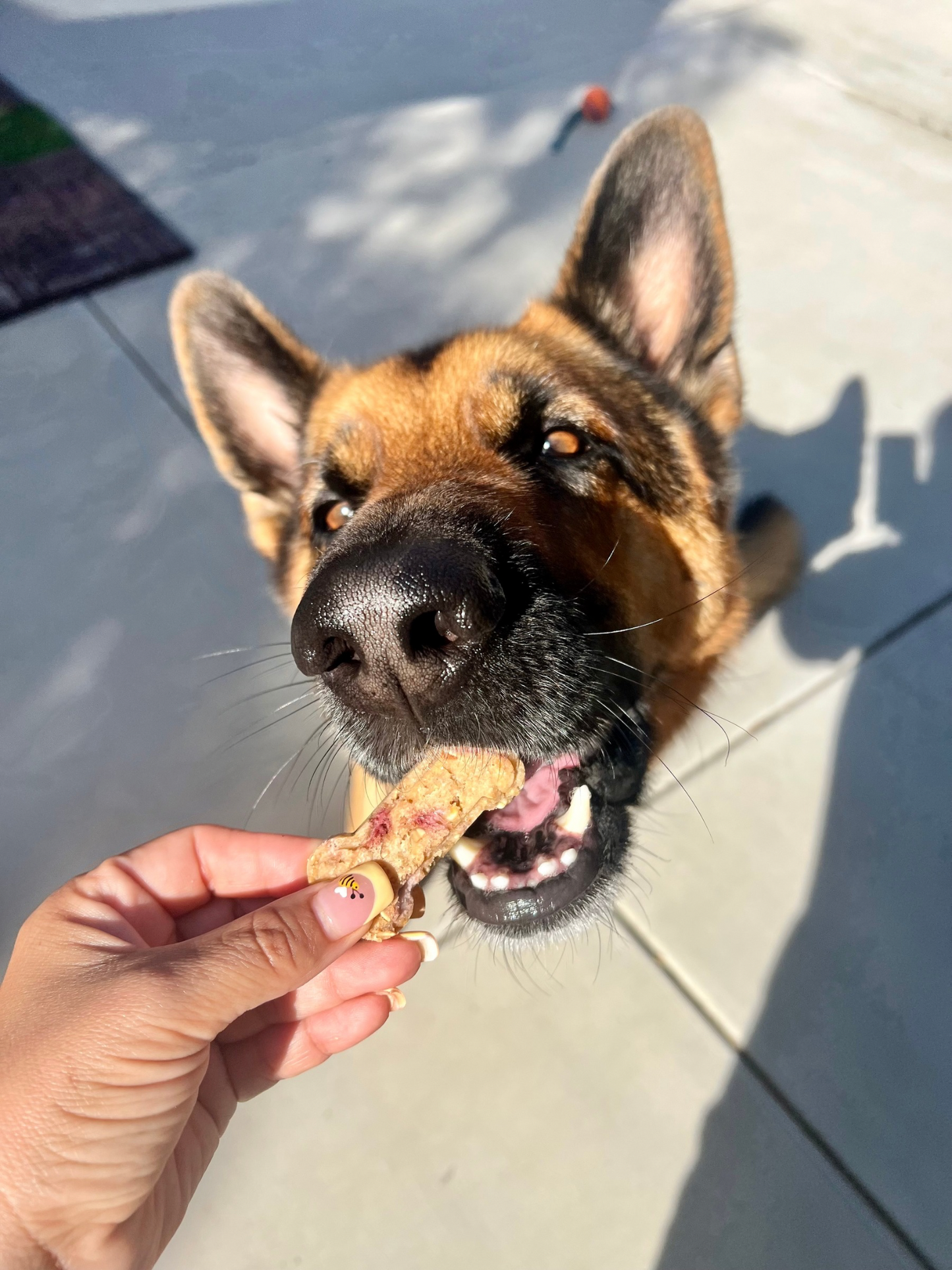 Berry Pawfection- Cookie of the Month!